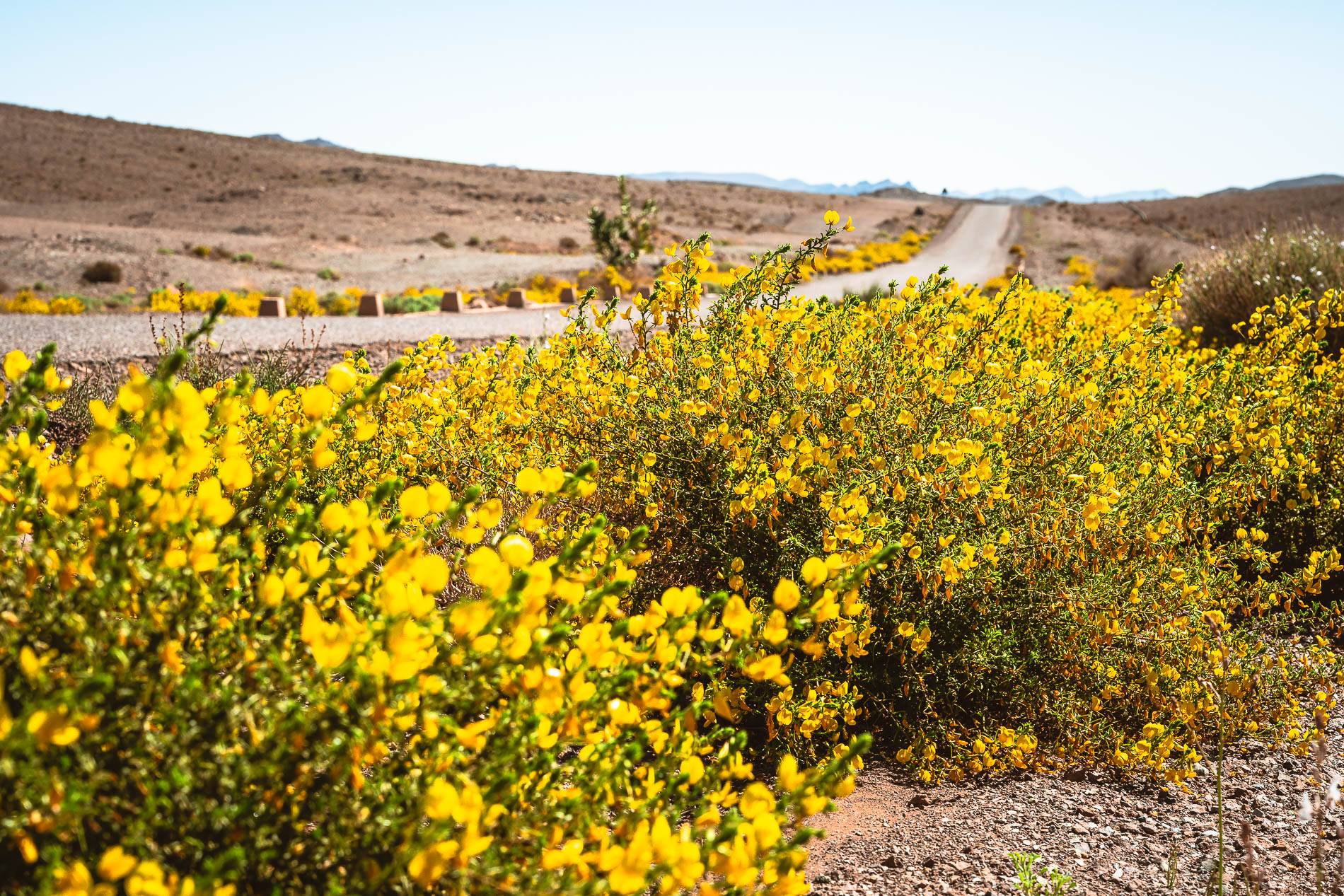 Fotoworkshop Marokko Master Class - Wüste
