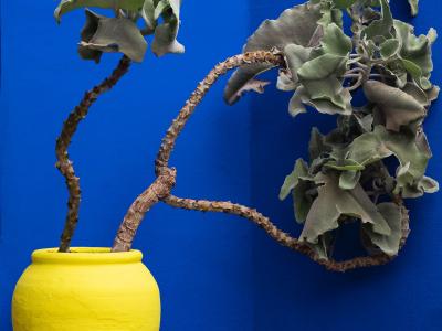 20220925 Bem6079 Fotoworkshop Marrakesch Bettinameister