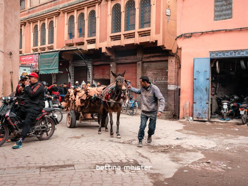 20230228 Bem2253 Fotoworkshop Marrakesch Bettinameister