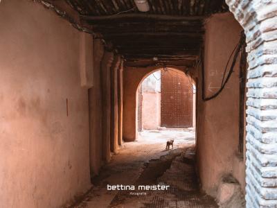 20230313 Bem8487 Fotoworkshop Marrakesch Bettinameister